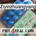 Ziyinzhuangyang new02